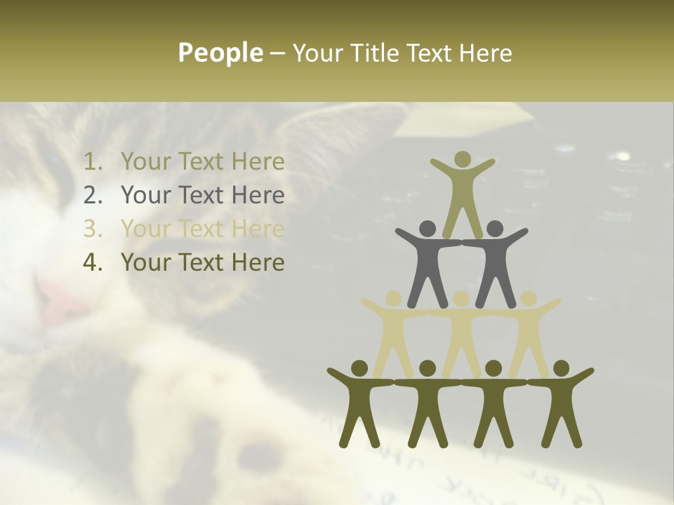 Coastal Sunset Pensioner PowerPoint Template