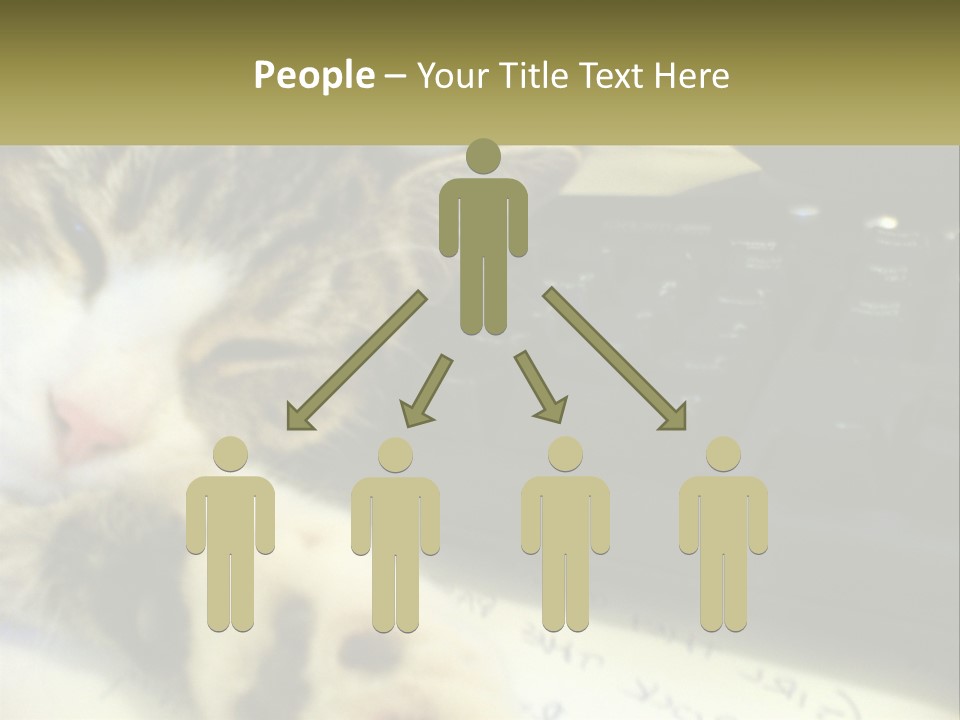 Coastal Sunset Pensioner PowerPoint Template