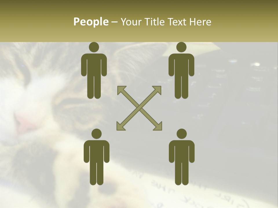 Coastal Sunset Pensioner PowerPoint Template