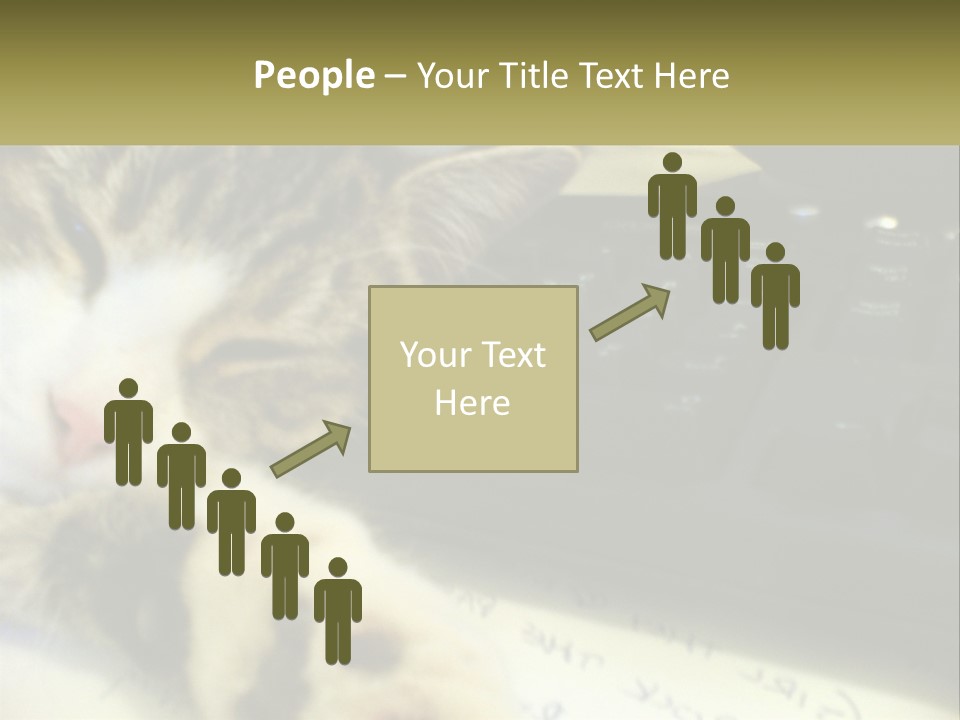 Coastal Sunset Pensioner PowerPoint Template