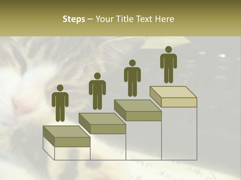 Coastal Sunset Pensioner PowerPoint Template