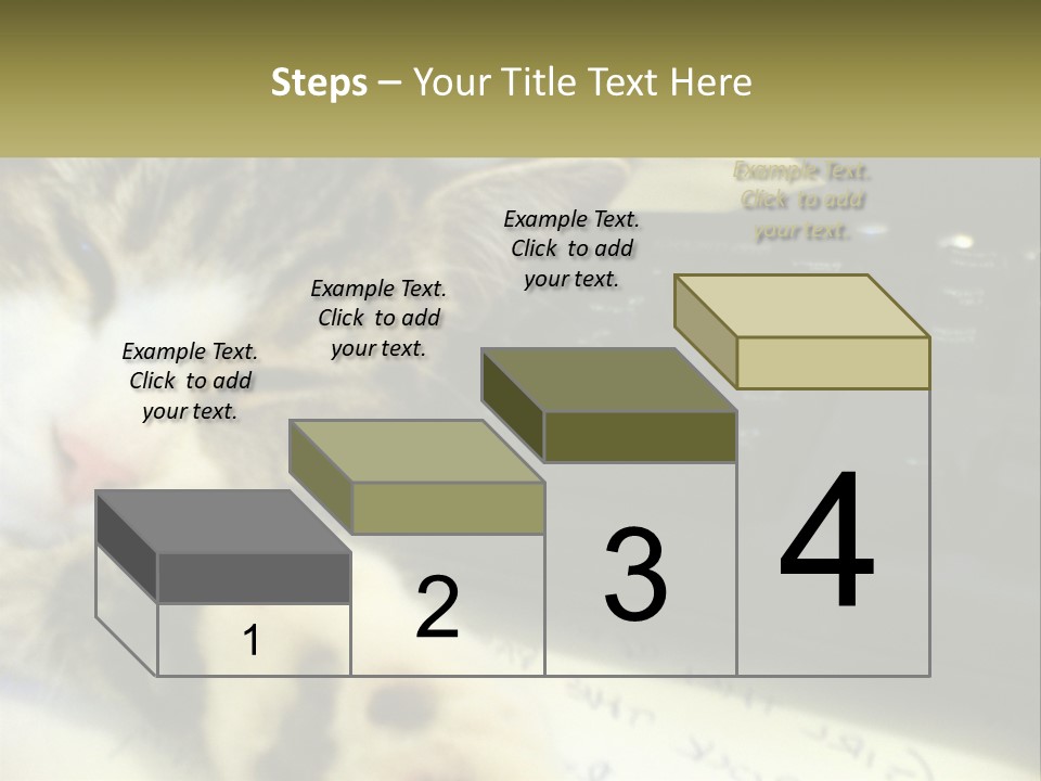 Coastal Sunset Pensioner PowerPoint Template