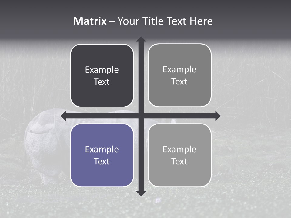 Woman Sea Wellness PowerPoint Template