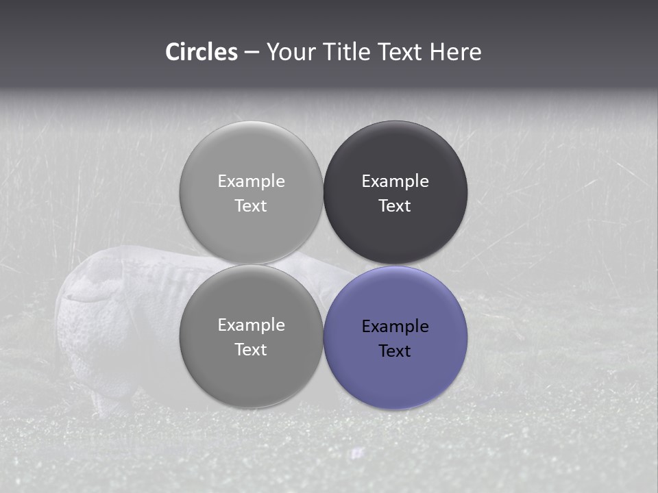 Woman Sea Wellness PowerPoint Template