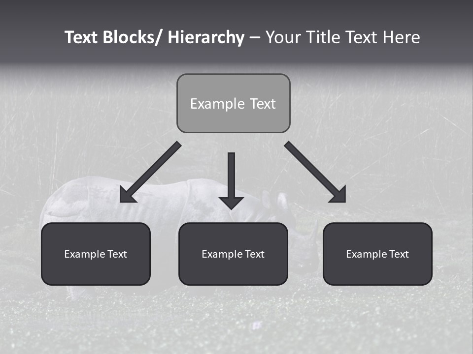 Woman Sea Wellness PowerPoint Template