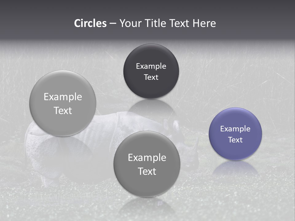 Woman Sea Wellness PowerPoint Template