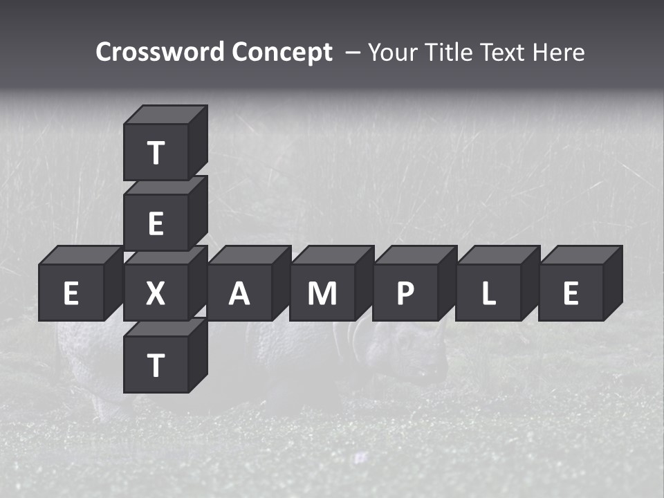 Woman Sea Wellness PowerPoint Template