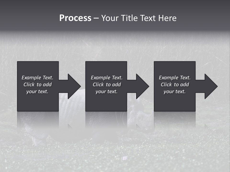Woman Sea Wellness PowerPoint Template