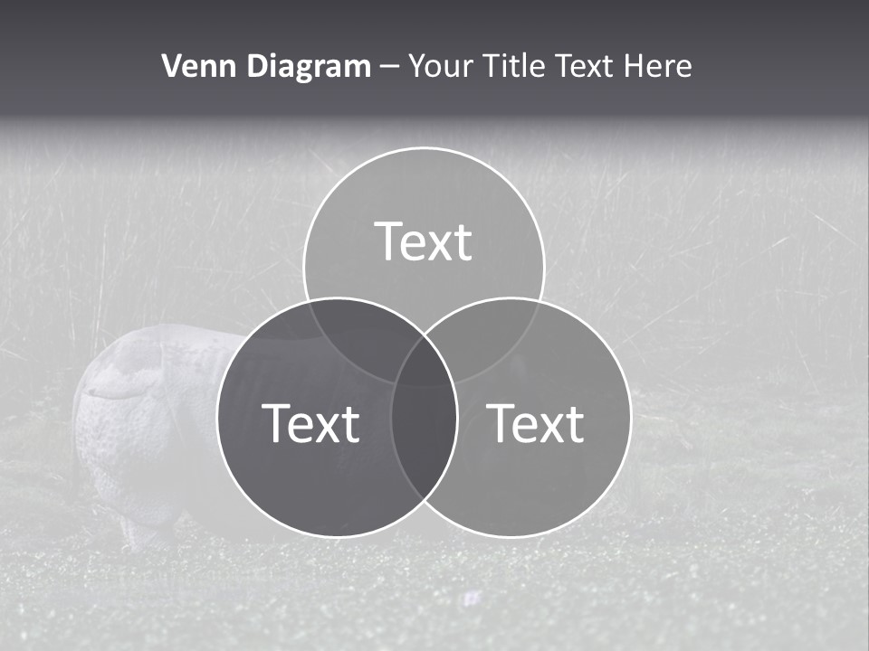 Woman Sea Wellness PowerPoint Template