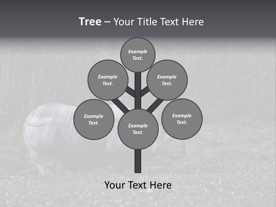 Woman Sea Wellness PowerPoint Template