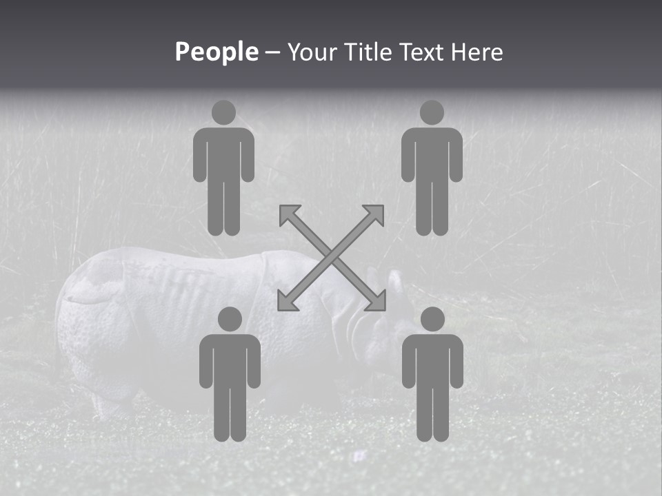 Woman Sea Wellness PowerPoint Template