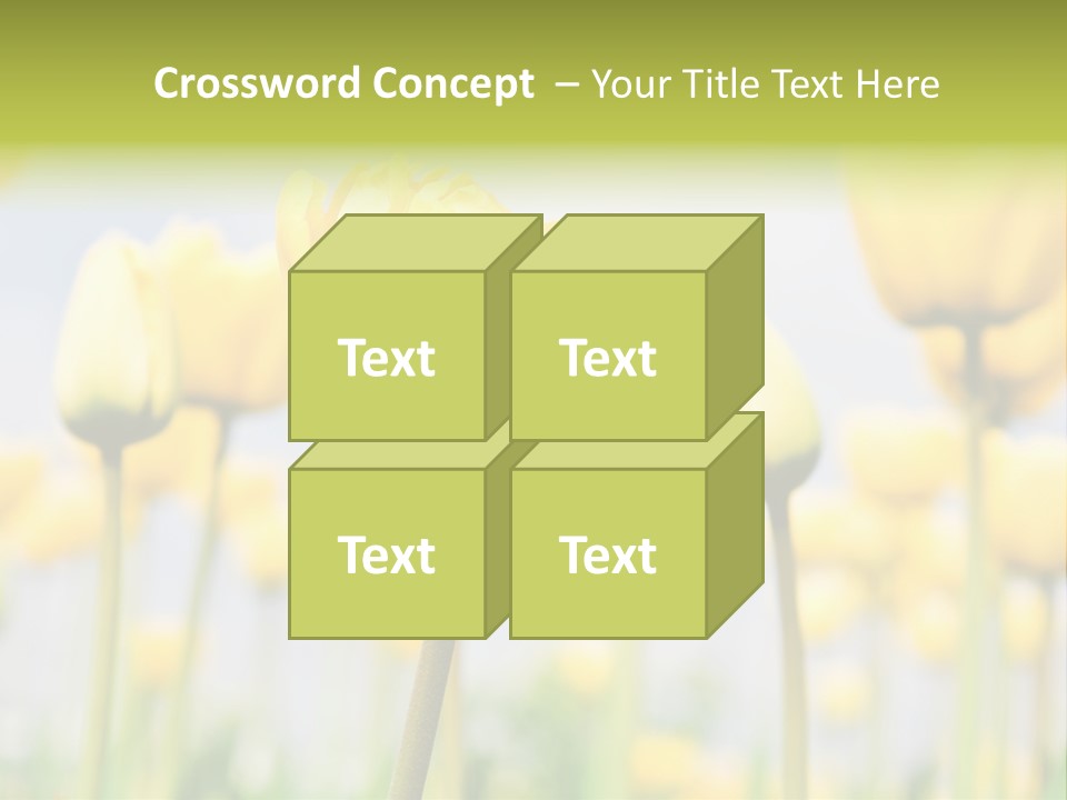 Beach Wave Woman PowerPoint Template