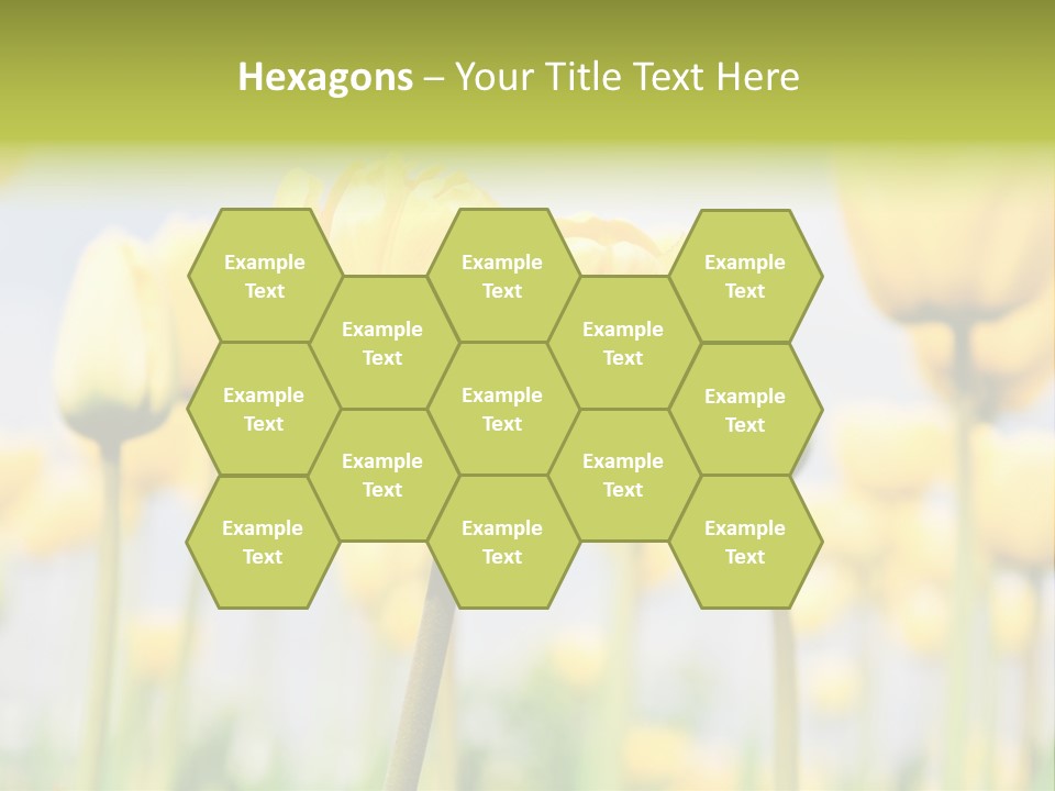 Beach Wave Woman PowerPoint Template