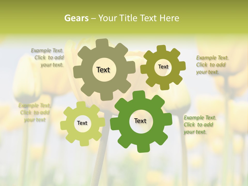 Beach Wave Woman PowerPoint Template