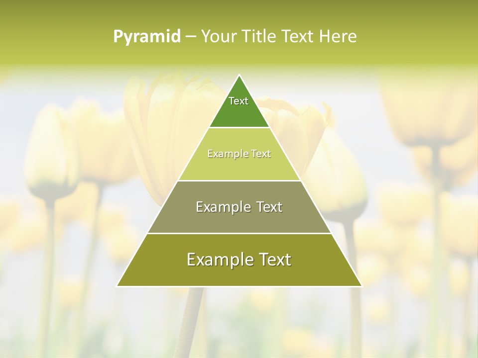 Beach Wave Woman PowerPoint Template