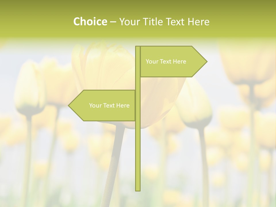 Beach Wave Woman PowerPoint Template