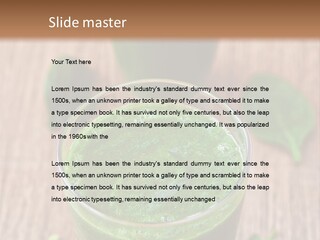 Water Senior Old PowerPoint Template