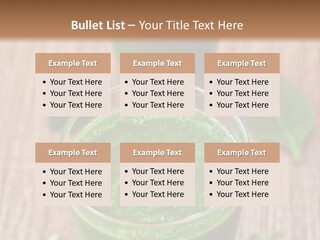 Water Senior Old PowerPoint Template