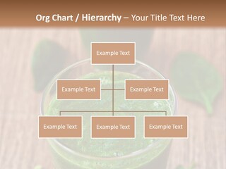 Water Senior Old PowerPoint Template