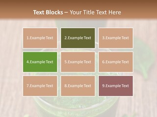 Water Senior Old PowerPoint Template