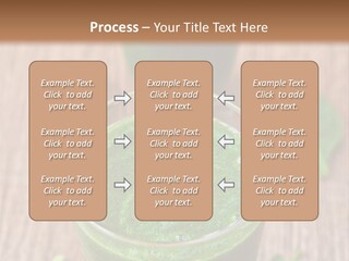 Water Senior Old PowerPoint Template