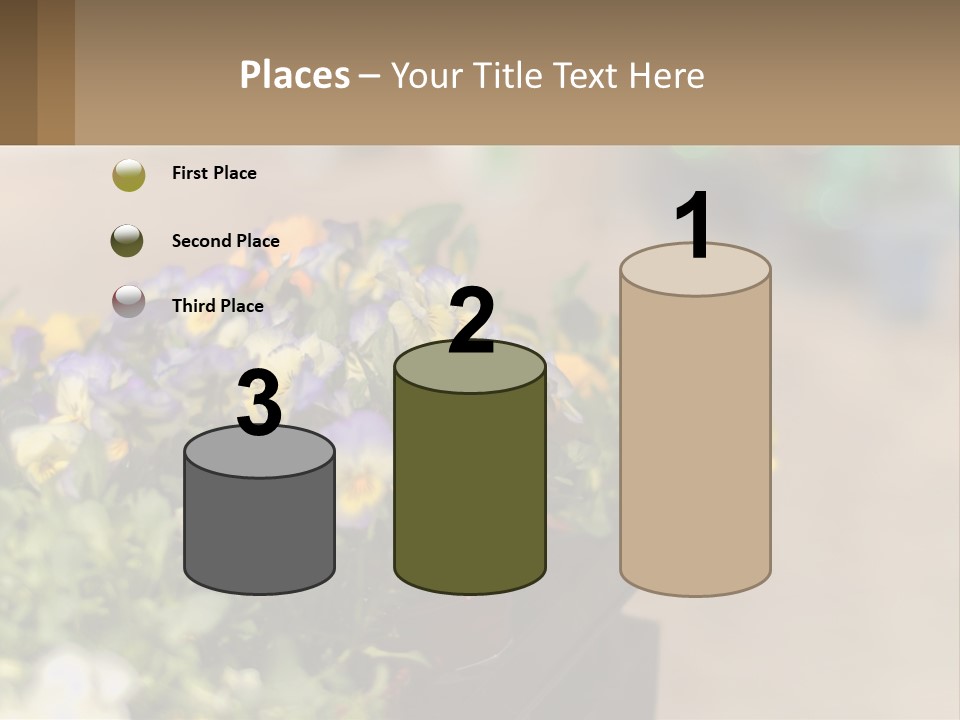 Peaceful Old Calm PowerPoint Template