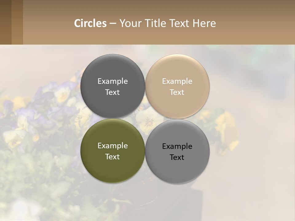 Peaceful Old Calm PowerPoint Template