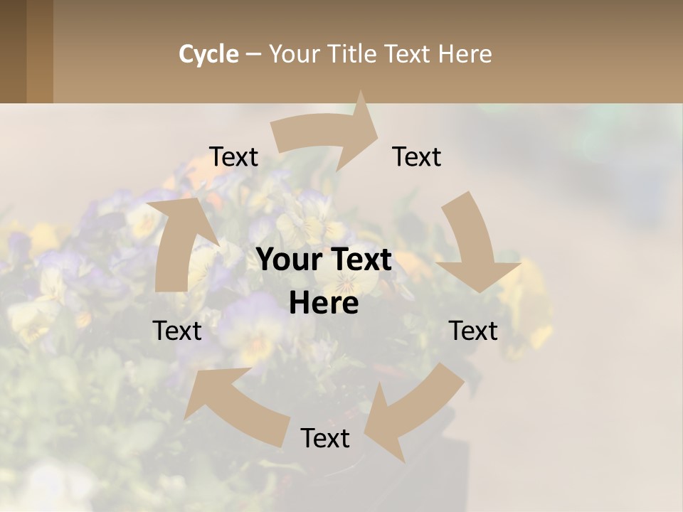 Peaceful Old Calm PowerPoint Template