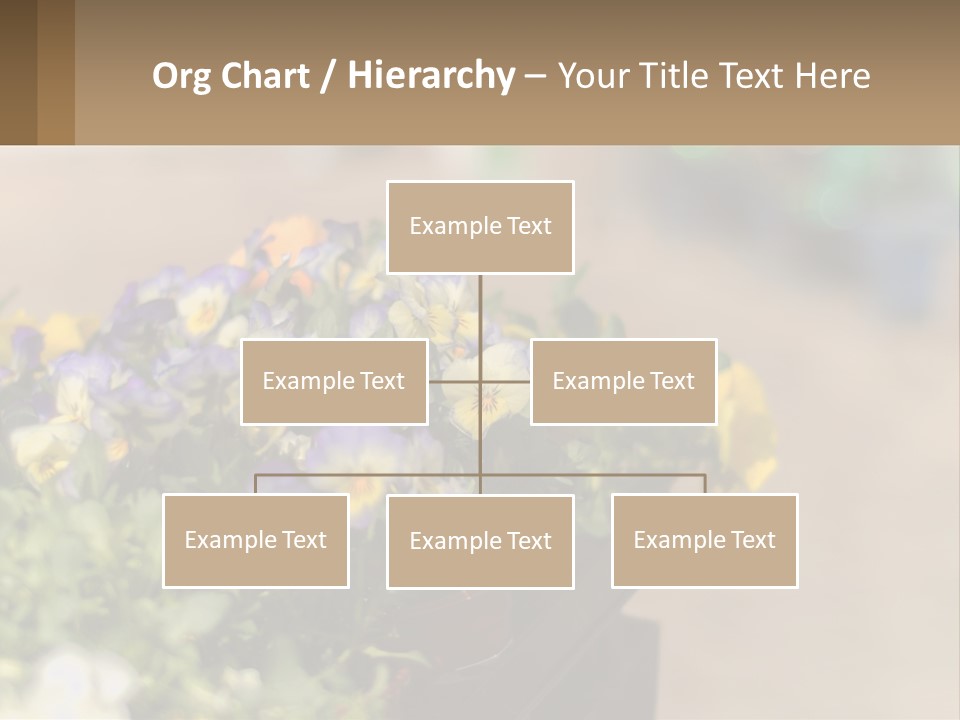 Peaceful Old Calm PowerPoint Template