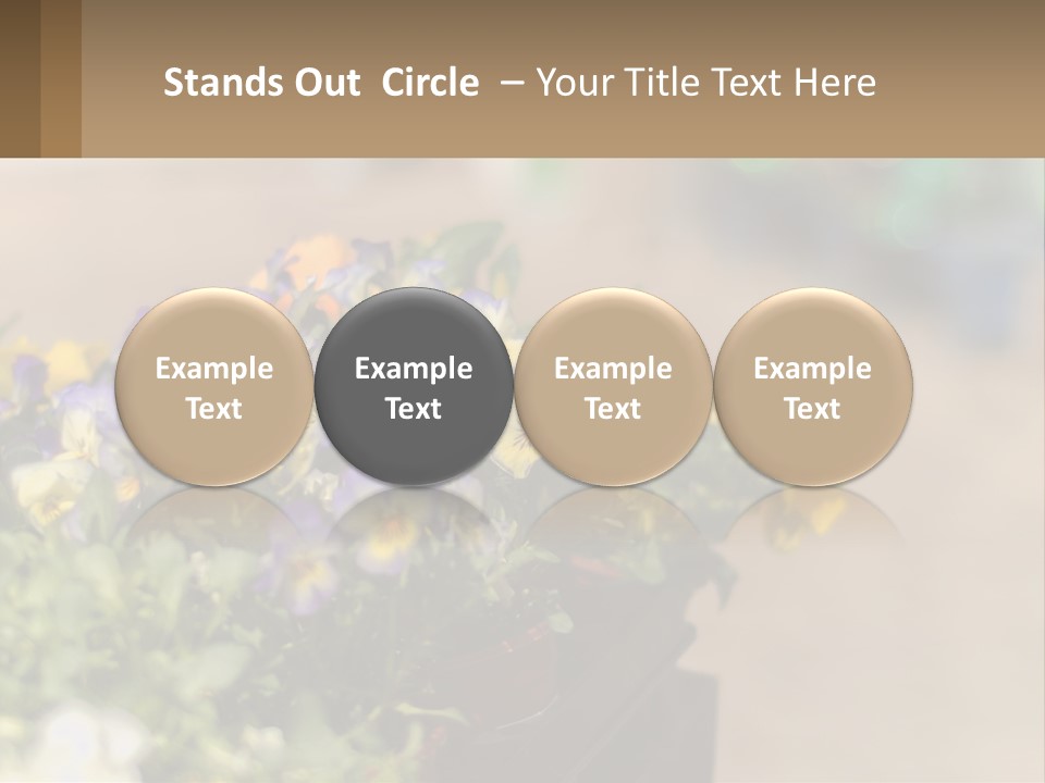 Peaceful Old Calm PowerPoint Template