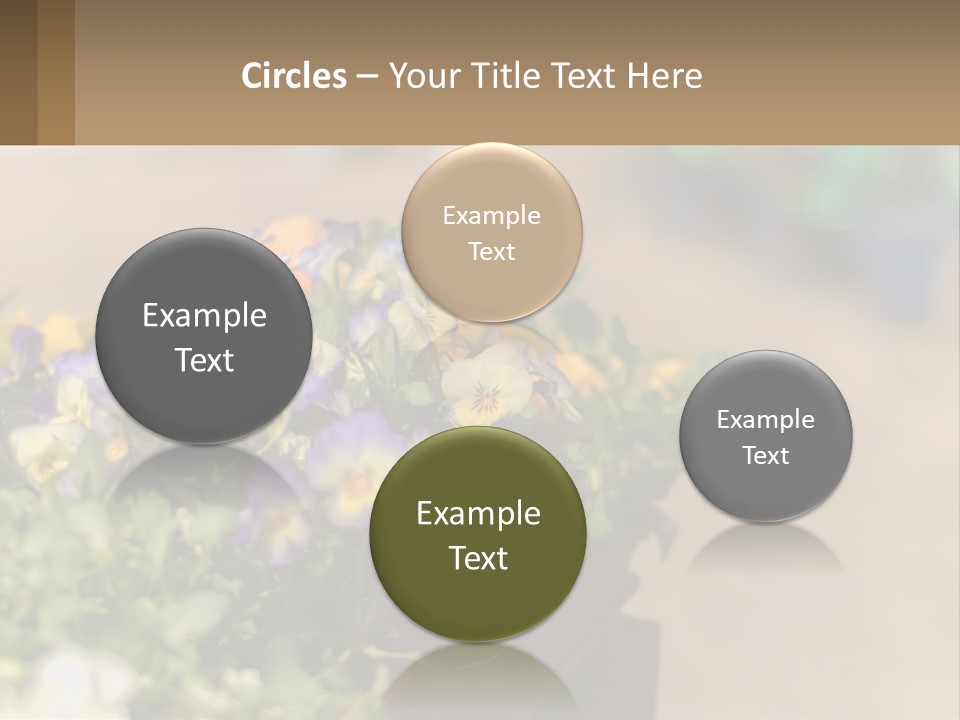 Peaceful Old Calm PowerPoint Template