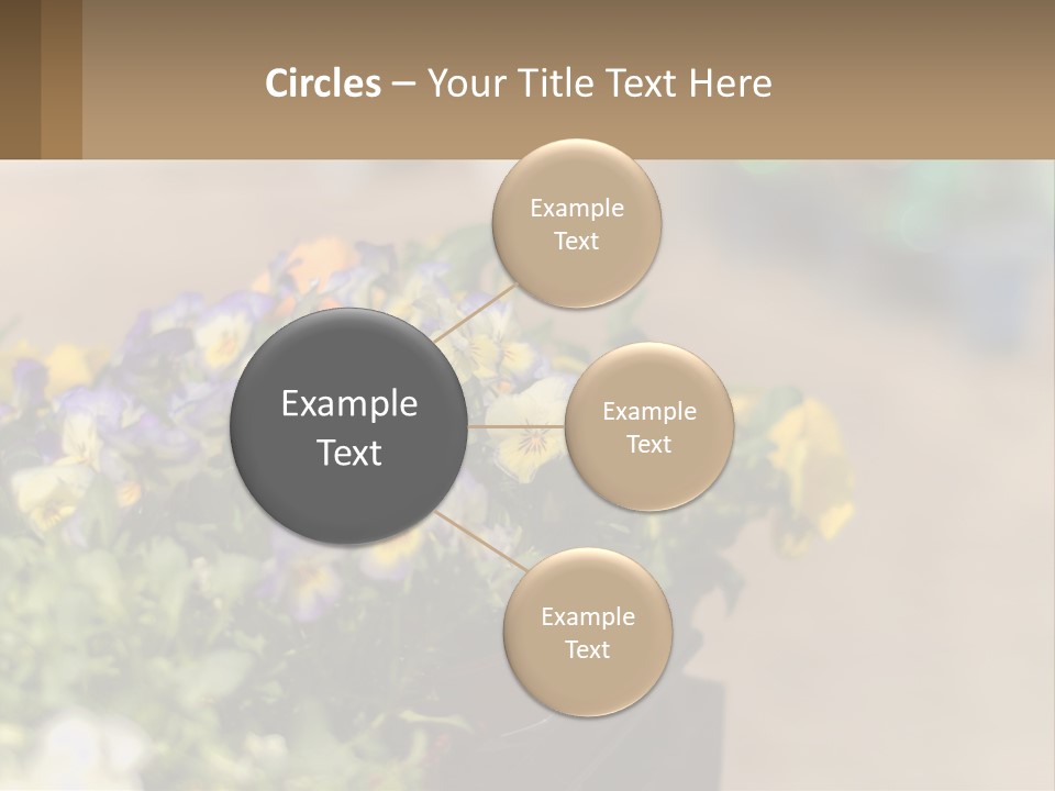 Peaceful Old Calm PowerPoint Template