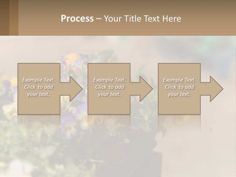 Peaceful Old Calm PowerPoint Template