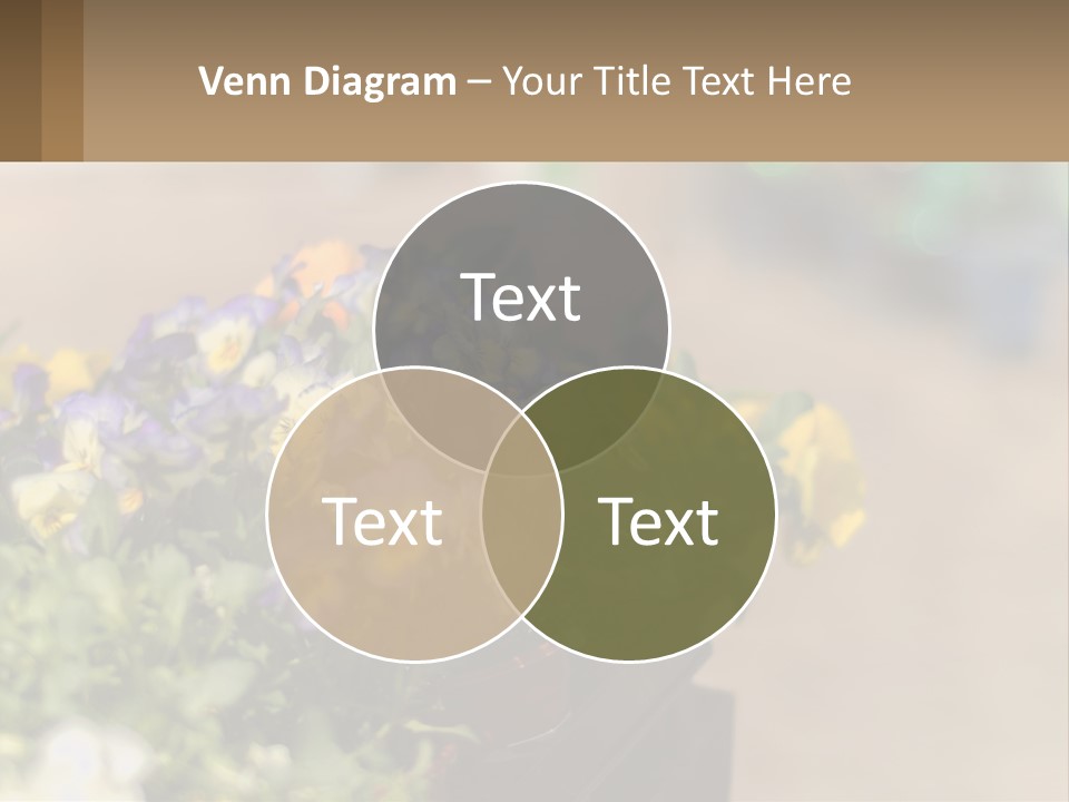 Peaceful Old Calm PowerPoint Template
