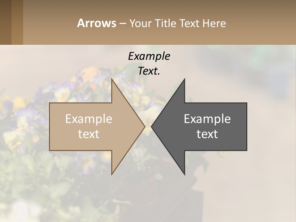 Peaceful Old Calm PowerPoint Template