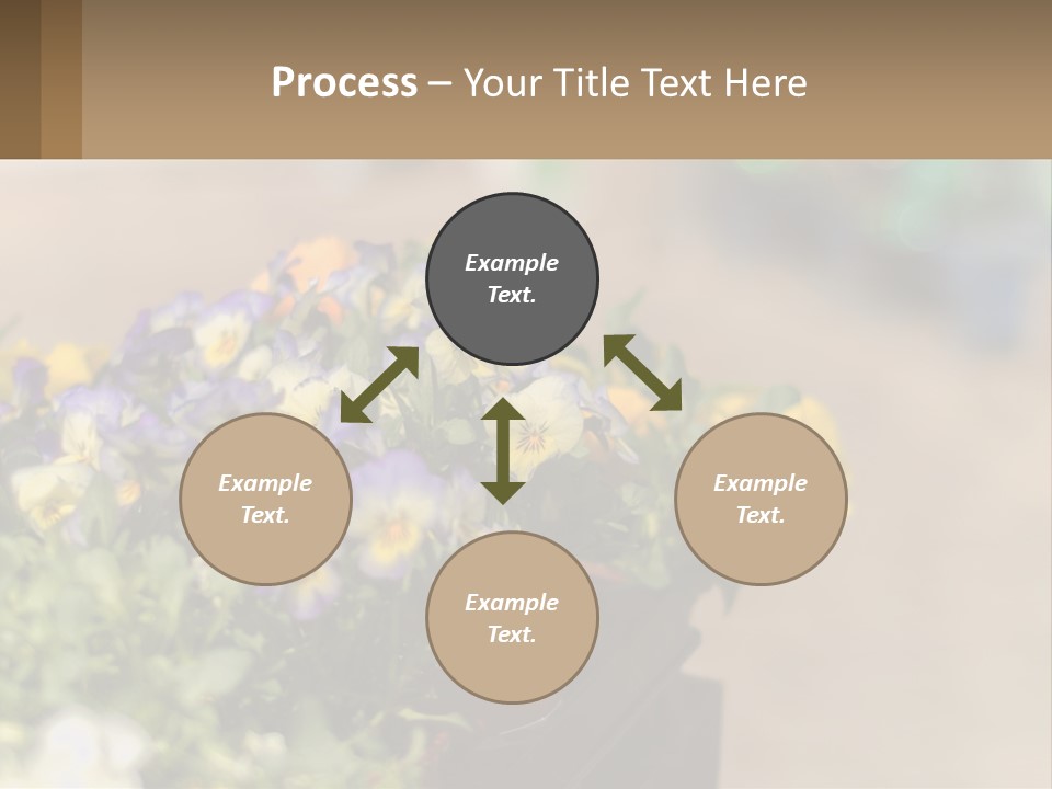 Peaceful Old Calm PowerPoint Template