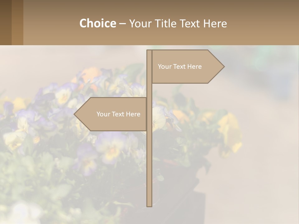Peaceful Old Calm PowerPoint Template