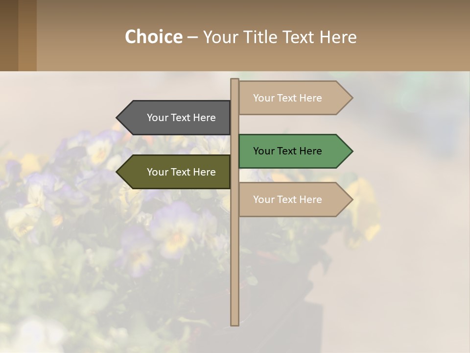 Peaceful Old Calm PowerPoint Template