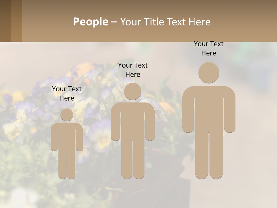 Peaceful Old Calm PowerPoint Template