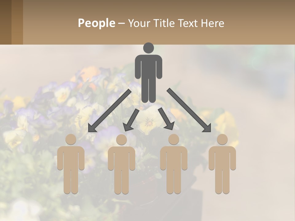Peaceful Old Calm PowerPoint Template