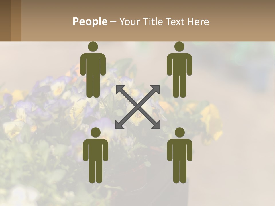 Peaceful Old Calm PowerPoint Template