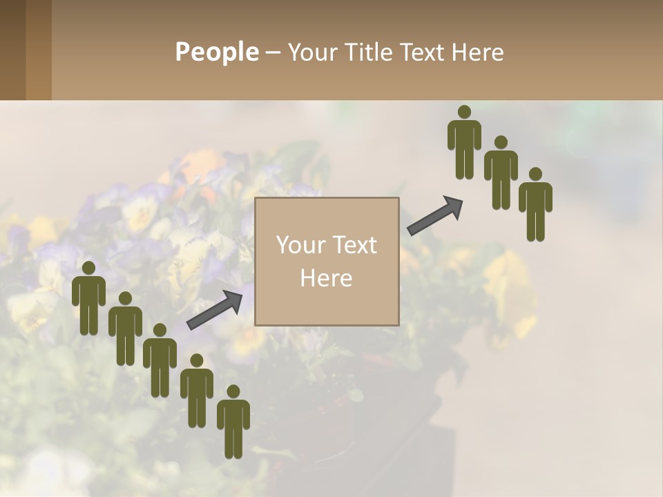 Peaceful Old Calm PowerPoint Template