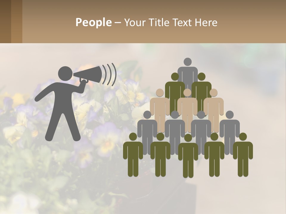 Peaceful Old Calm PowerPoint Template