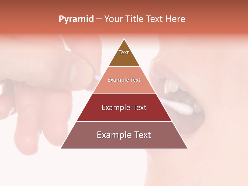 Old White Coastal PowerPoint Template