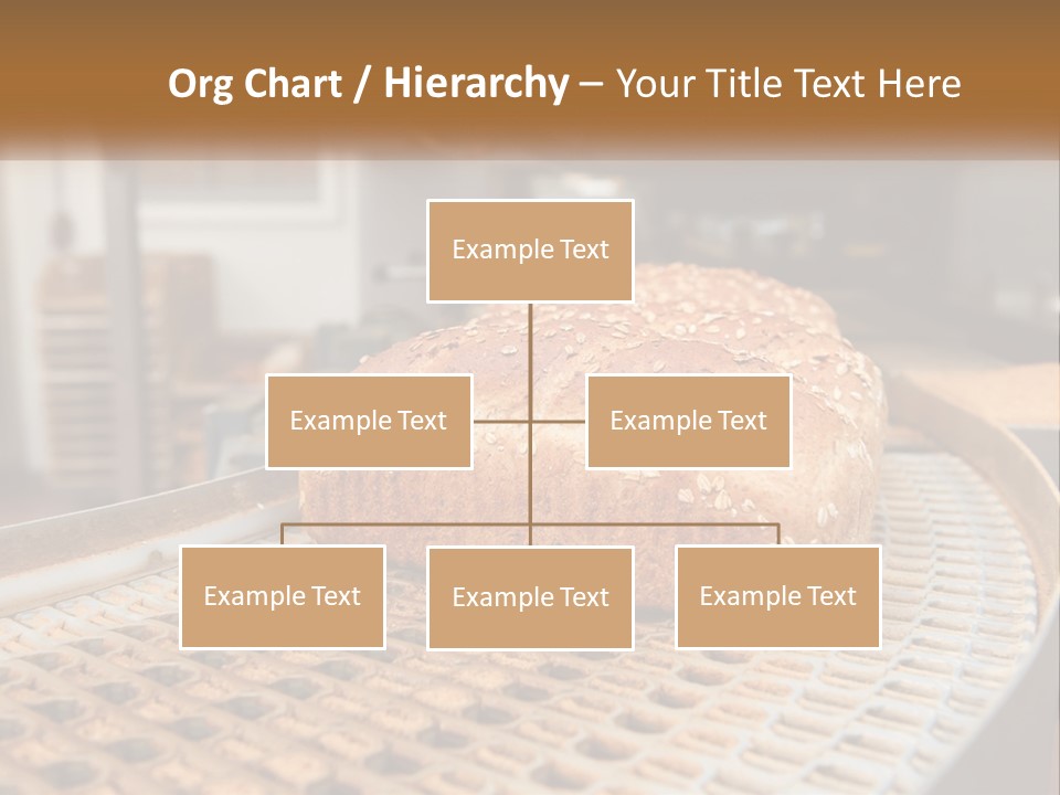 Pensioner Parent Water PowerPoint Template