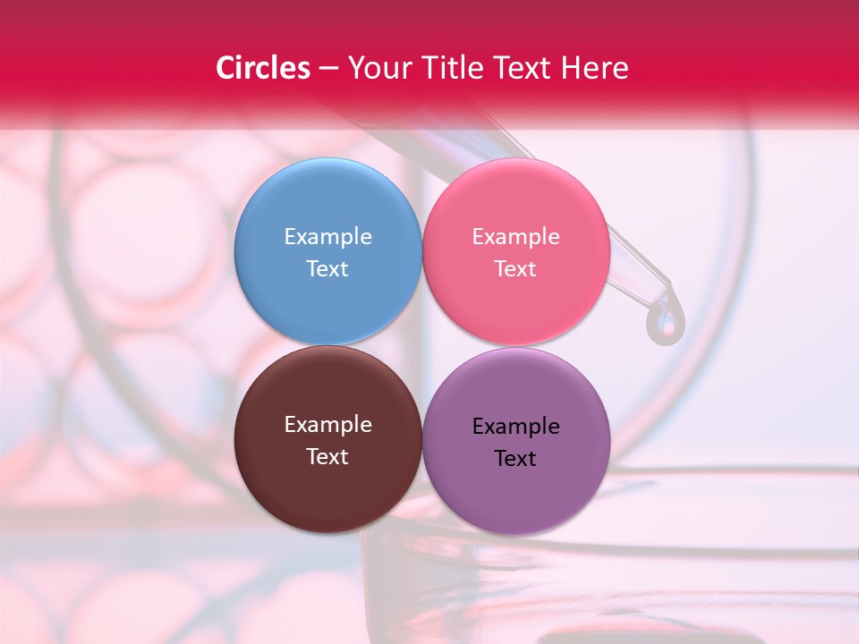 Sunrise Single Sand PowerPoint Template