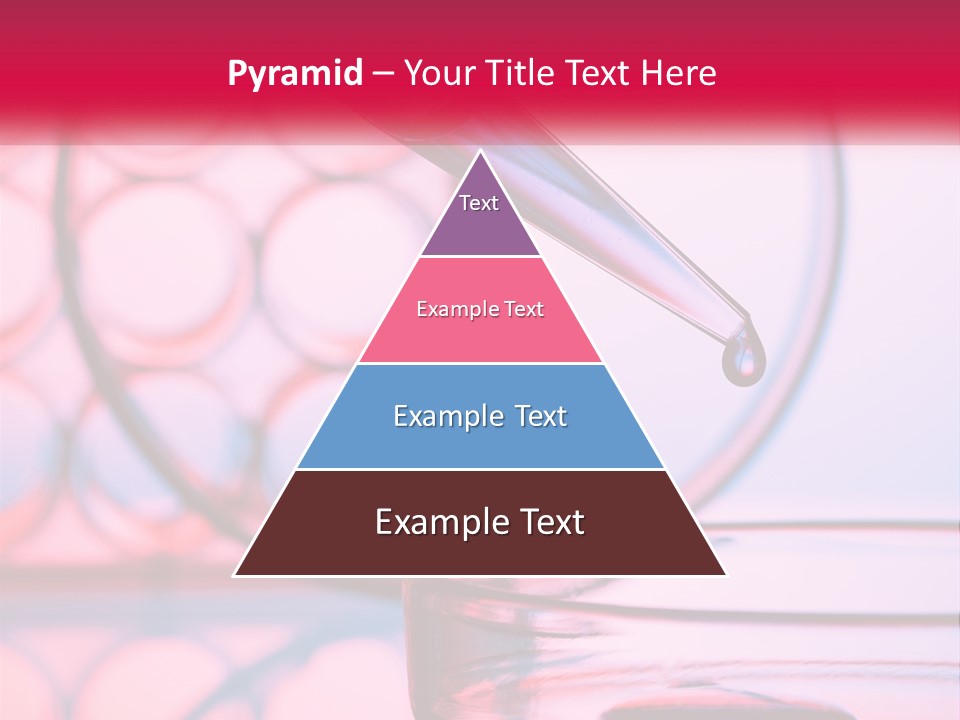 Sunrise Single Sand PowerPoint Template