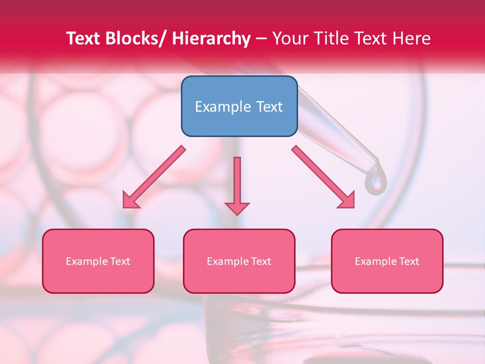 Sunrise Single Sand PowerPoint Template