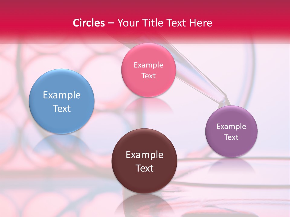 Sunrise Single Sand PowerPoint Template