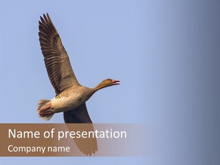 Parent Old Sand PowerPoint Template
